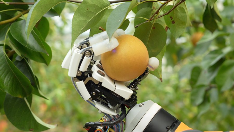 Robotic hand with optical/electronic skin grasping a pear