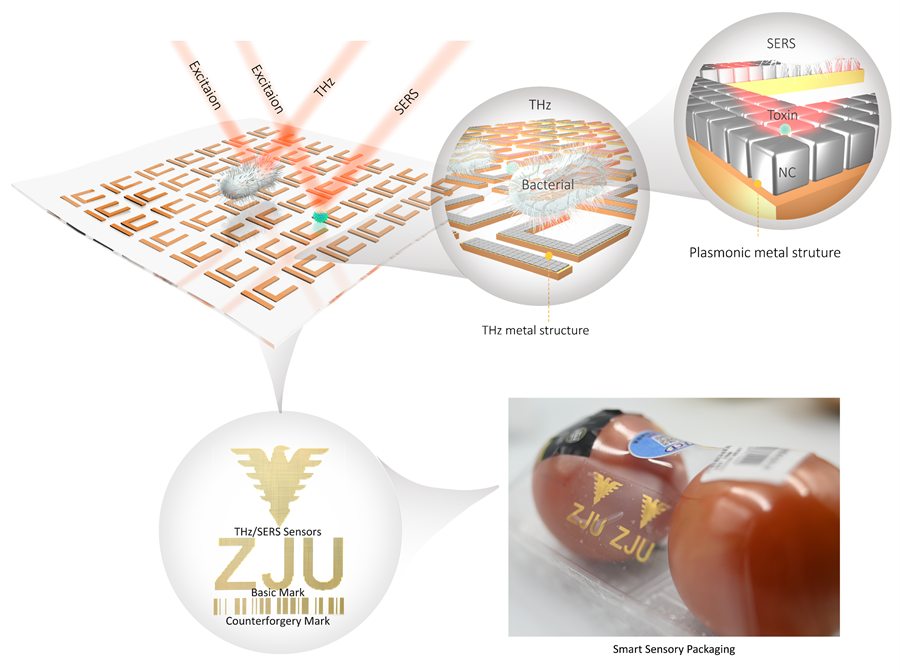 Smart sensory packaging illustration with metamaterial sensors