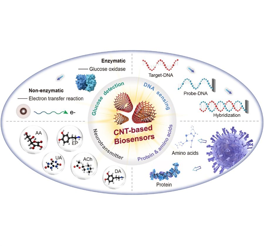 CNT-based biosensors graphical abstract